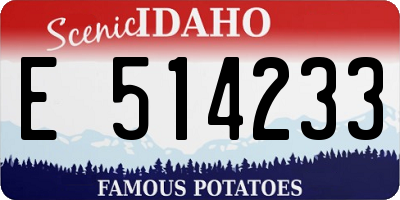 ID license plate E514233