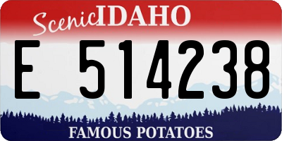 ID license plate E514238