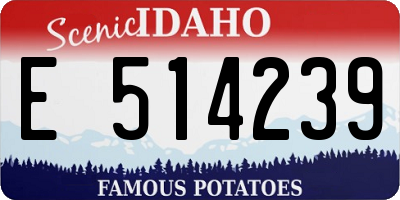 ID license plate E514239