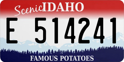 ID license plate E514241