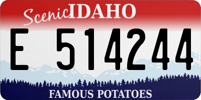 ID license plate E514244
