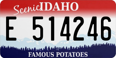 ID license plate E514246