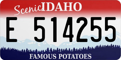 ID license plate E514255