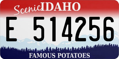 ID license plate E514256