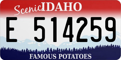 ID license plate E514259