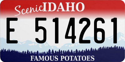 ID license plate E514261