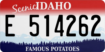 ID license plate E514262