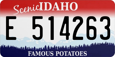 ID license plate E514263