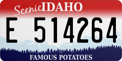 ID license plate E514264