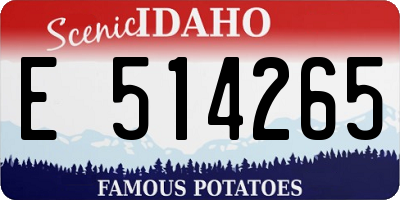 ID license plate E514265