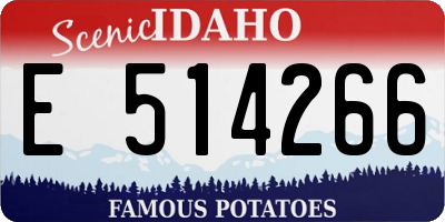ID license plate E514266