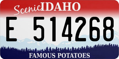 ID license plate E514268