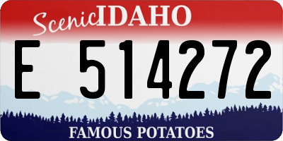 ID license plate E514272