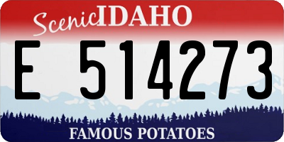 ID license plate E514273