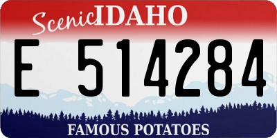 ID license plate E514284