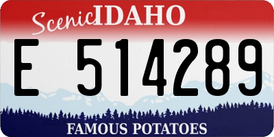 ID license plate E514289