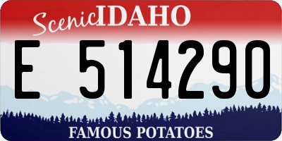 ID license plate E514290