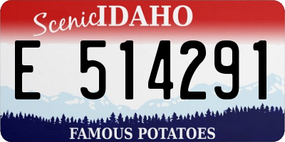 ID license plate E514291