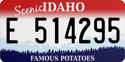 ID license plate E514295