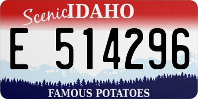 ID license plate E514296