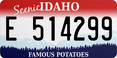 ID license plate E514299