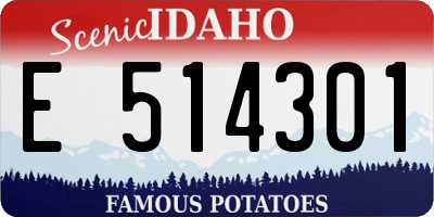 ID license plate E514301