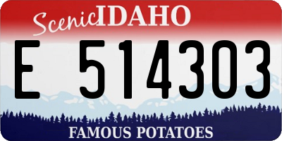 ID license plate E514303