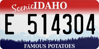 ID license plate E514304