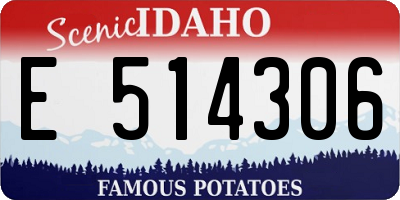 ID license plate E514306