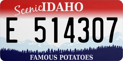 ID license plate E514307