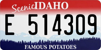 ID license plate E514309