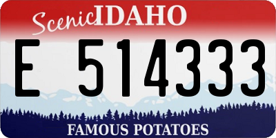 ID license plate E514333