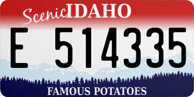 ID license plate E514335