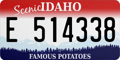 ID license plate E514338
