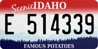 ID license plate E514339