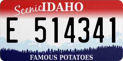 ID license plate E514341