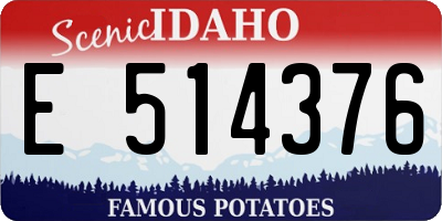 ID license plate E514376
