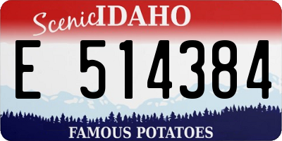 ID license plate E514384