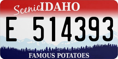 ID license plate E514393