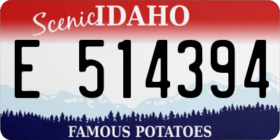 ID license plate E514394
