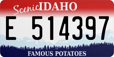 ID license plate E514397
