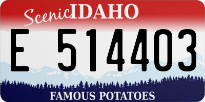 ID license plate E514403