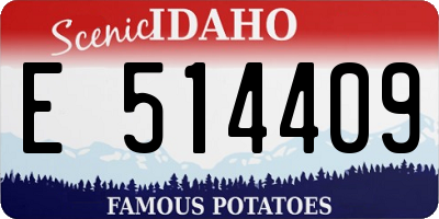 ID license plate E514409