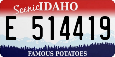 ID license plate E514419