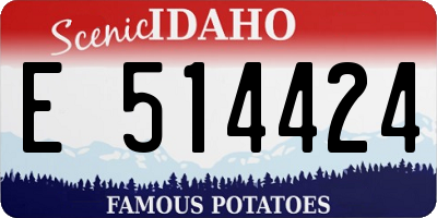ID license plate E514424