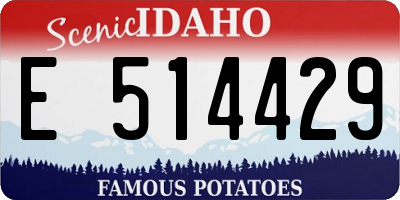 ID license plate E514429