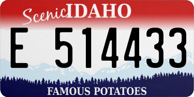 ID license plate E514433