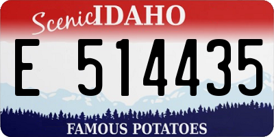 ID license plate E514435