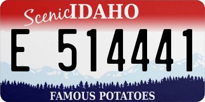ID license plate E514441