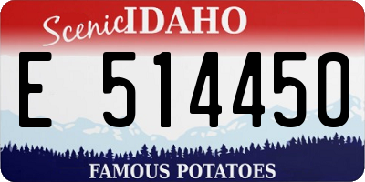 ID license plate E514450